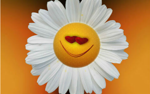 Pozityvumo žabangos